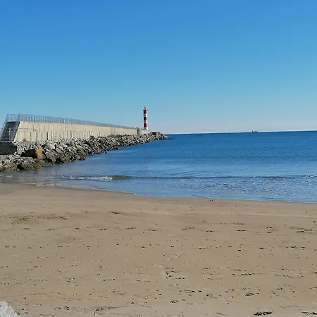 Entre Et Roseaux - Piscine - Proche Centre Et - Petfriendly Chalet *