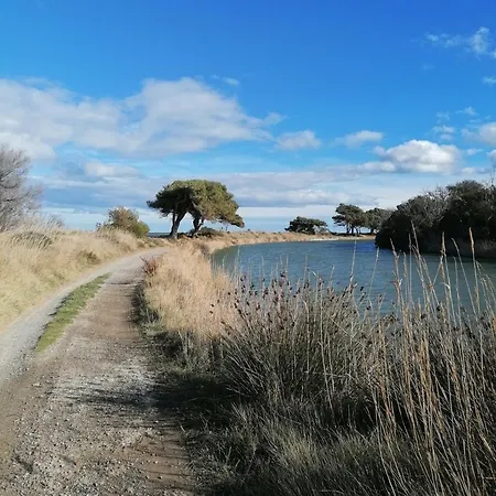 Entre Et Roseaux - Piscine Chauffee - Proche Centre Et - Animaux Bienvenus
