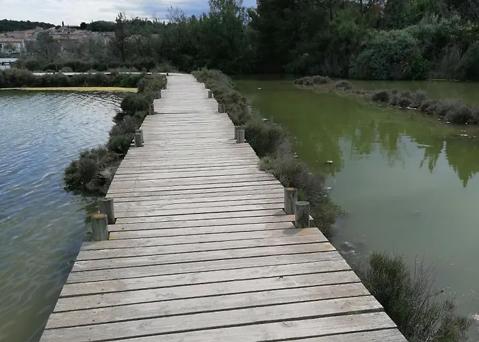 Entre Et Roseaux - Piscine Chauffee - Proche Centre Et - Animaux Bienvenus * Port-la-Nouvelle